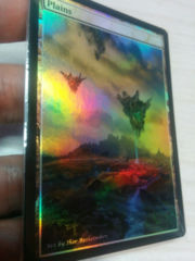 Plains #16 Foil Extended